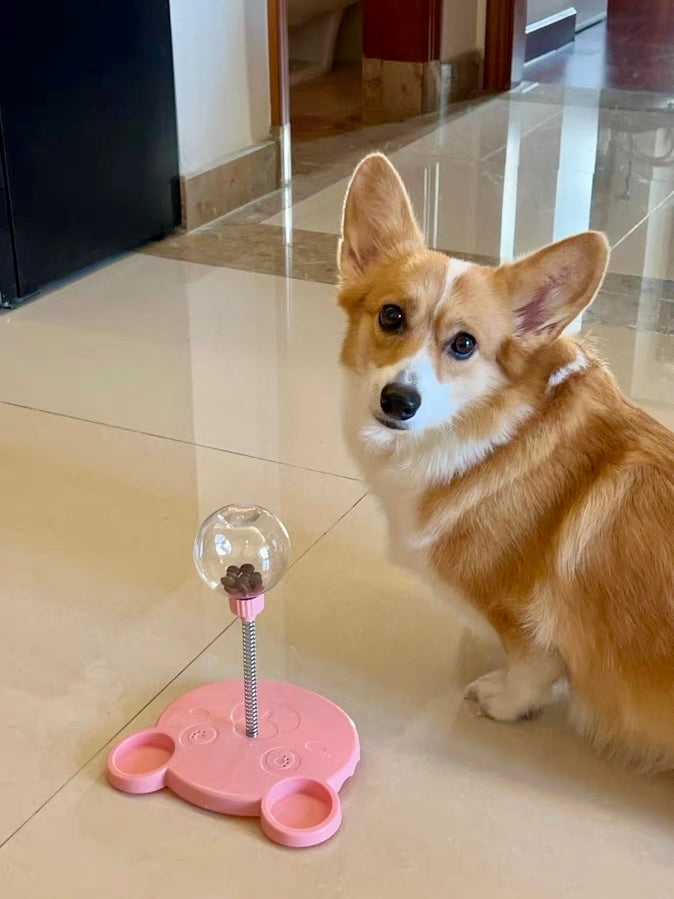Pet Puzzle Rocking Food Leaker