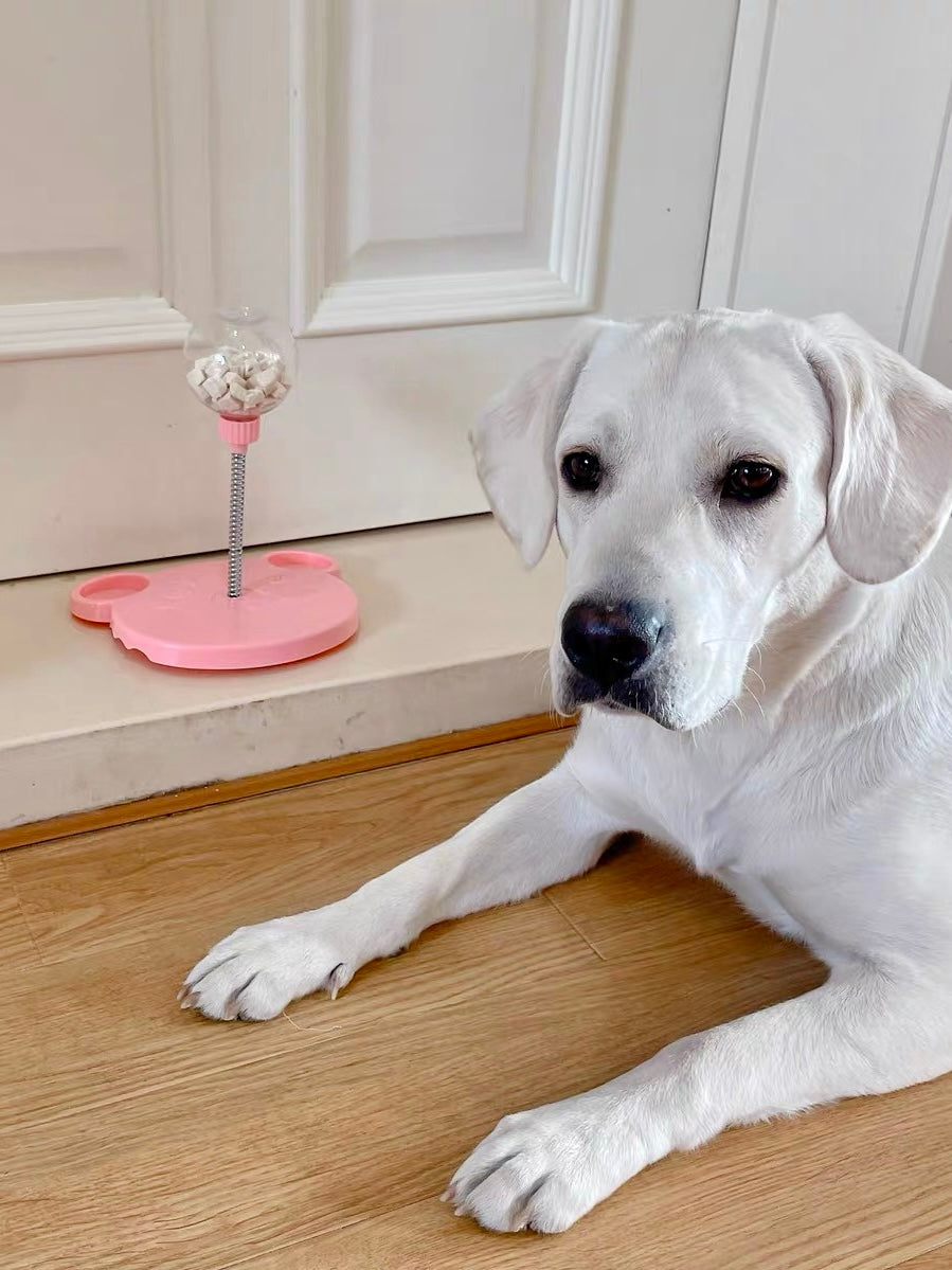 Pet Puzzle Rocking Food Leaker